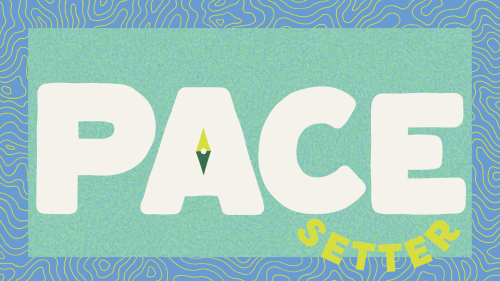 Pacesetter Brand Graphics Kit